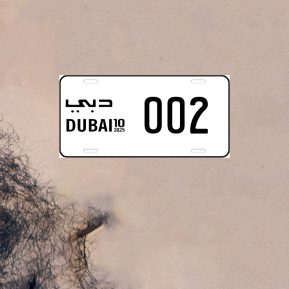 Plaque d'immatriculation fanta - Car Accessories In Dubai avis et prix
